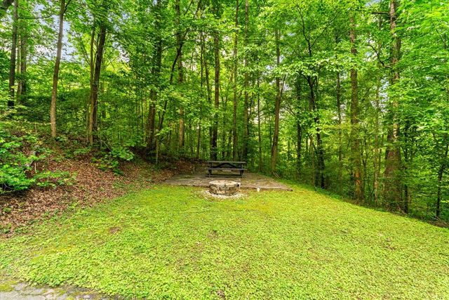 1178 Swan Bridge Road, Talking Rock, GA 30175
