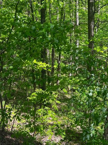 0 Lola Dr, Smithville, TN 37166