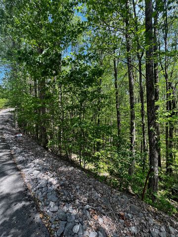 0 Lola Dr, Smithville, TN 37166