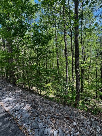 0 Lola Dr, Smithville, TN 37166