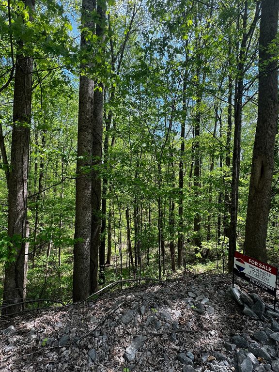 0 Lola Dr, Smithville, TN 37166