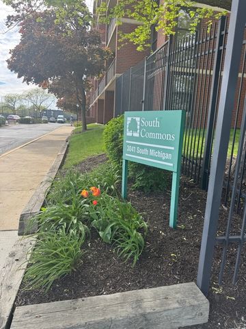 3041 S Michigan Avenue 106, Chicago, IL 60616