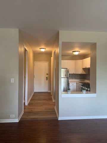 3041 S Michigan Avenue 106, Chicago, IL 60616