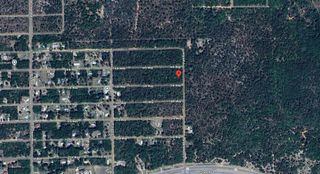 TBD 5TH WAY, Interlachen, FL 32148