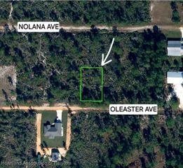 1822 Oleaster Avenue, Sebring, FL 33875