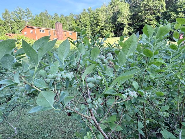 498 Town Line Road, Bennington, VT 05201