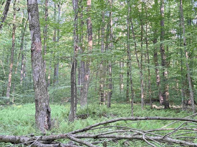 498 Town Line Road, Bennington, VT 05201
