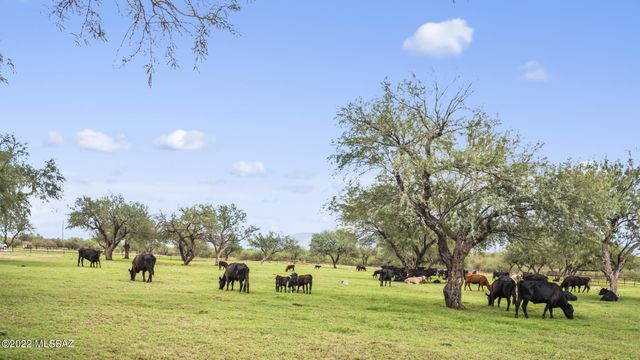 3155 W Elephant Head Road, Amado, AZ 85645