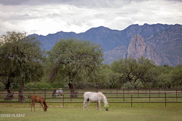 3155 W Elephant Head Road, Amado, AZ 85645
