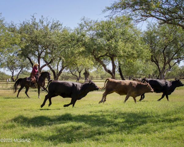 3155 W Elephant Head Road, Amado, AZ 85645