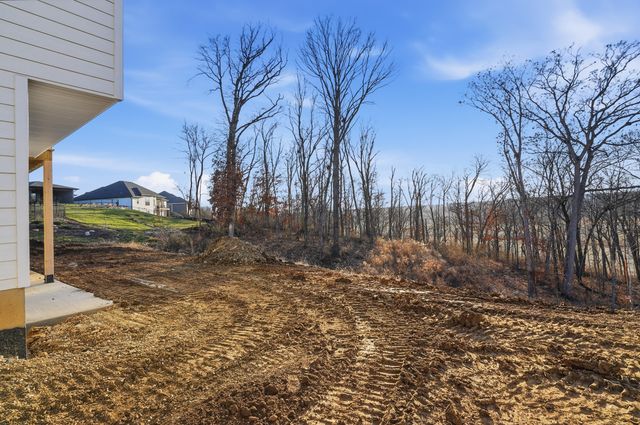 709 ANGELS REST WAY, Columbia, MO 65203