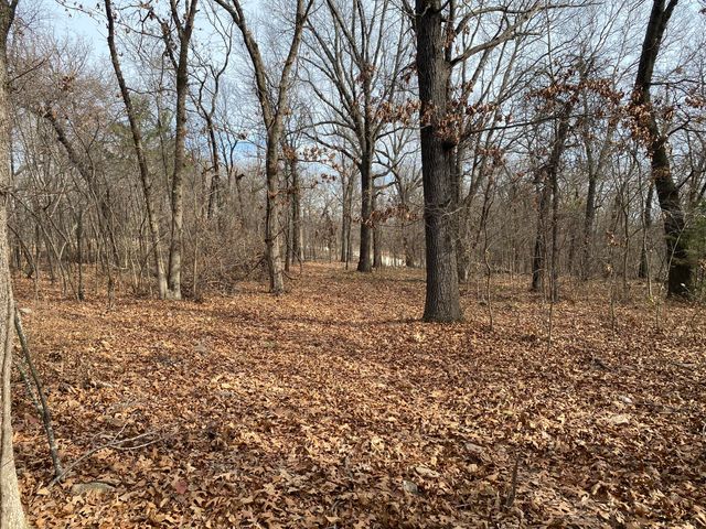 TBD S 580 Road, Fairland, OK 74343