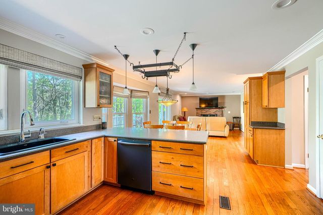 4645 OLD DRAGON PATH, Ellicott City, MD 21042