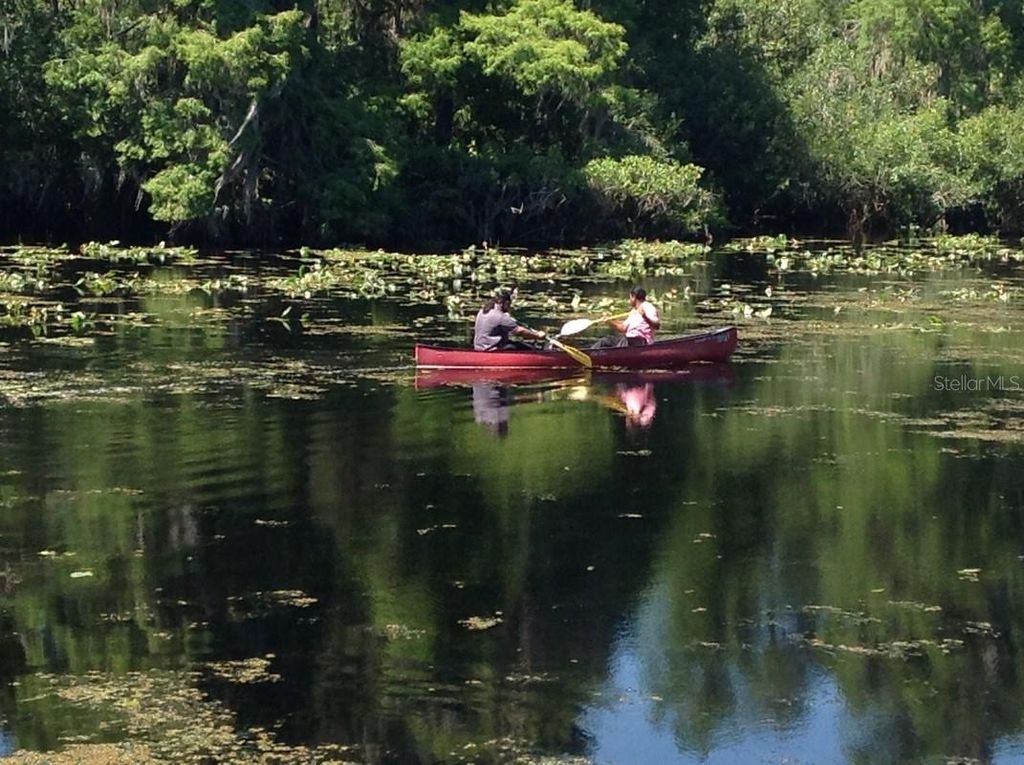 Image 60 of property listing at 13304 SANCTUARY COVE DRIVE 303, Temple Terrace, FL 33637