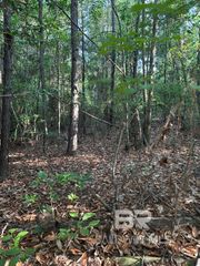 0 Old Highway 31, Brewton, AL 36426
