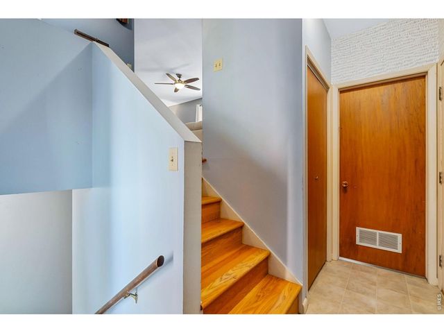 519 Locust St, Windsor, CO 80550