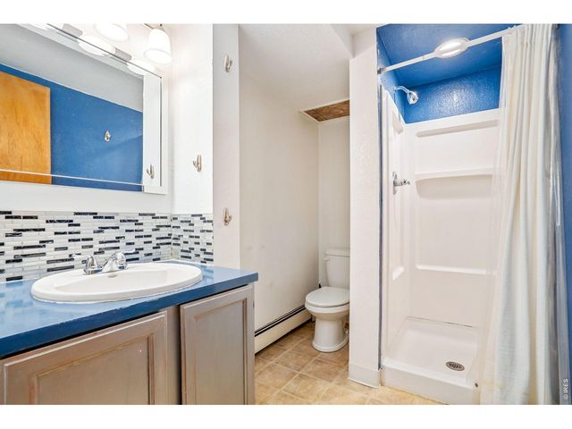 519 Locust St, Windsor, CO 80550