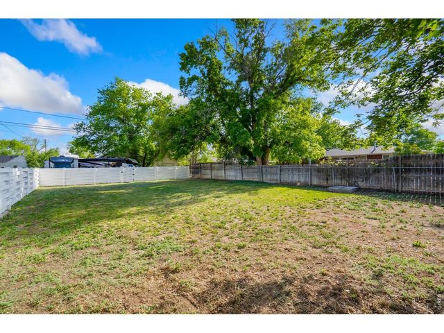 519 Locust St, Windsor, CO 80550