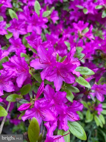 4119 WATERVIEW DR, Edgewater, MD 21037