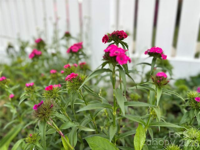 610 E Main Street, Cherryville, NC 28021