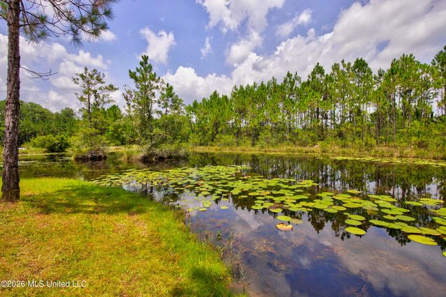 10230 Muszar Lane, Vancleave, MS 39565