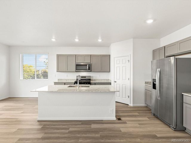 1695 Yampa River Drive, Windsor, CO 80550