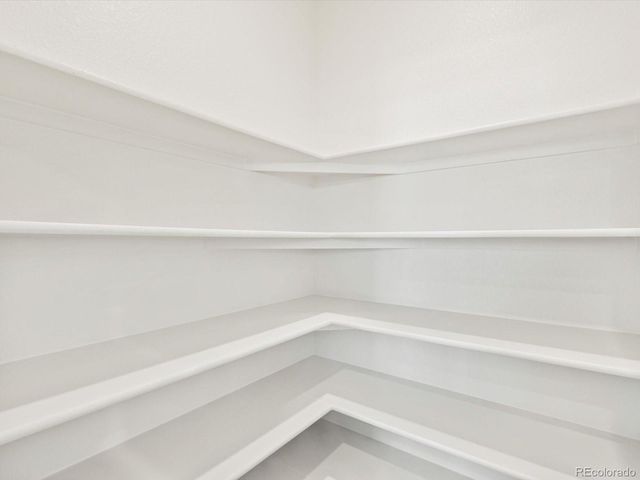 1695 Yampa River Drive, Windsor, CO 80550