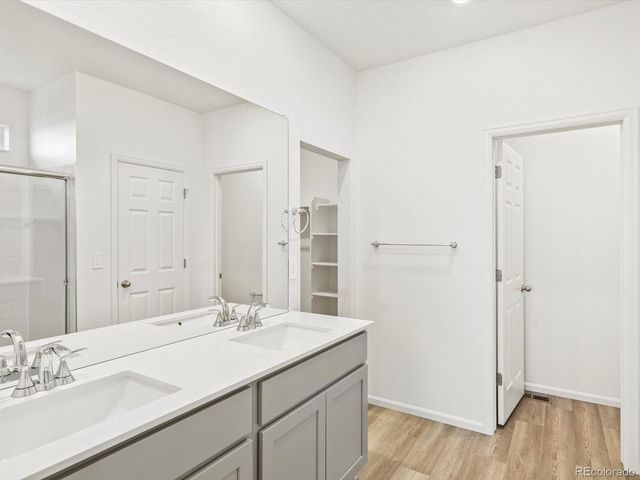 1695 Yampa River Drive, Windsor, CO 80550