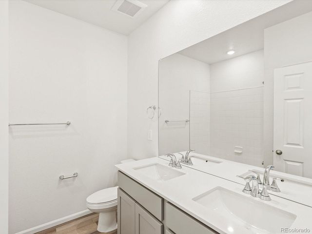 1695 Yampa River Drive, Windsor, CO 80550