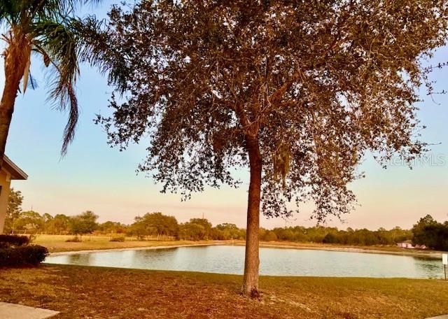 2281 ROYAL RIDGE DRIVE, Davenport, FL 33896