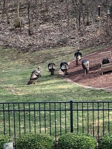 4451 Hartstone DRIVE, Slinger, WI 53086