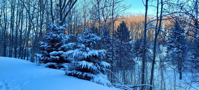 4451 Hartstone DRIVE, Slinger, WI 53086