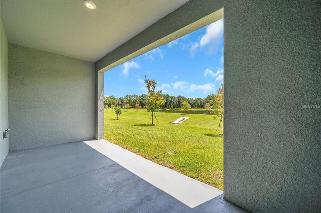 1347 COLT CREEK PLACE, Wesley Chapel, FL 33543