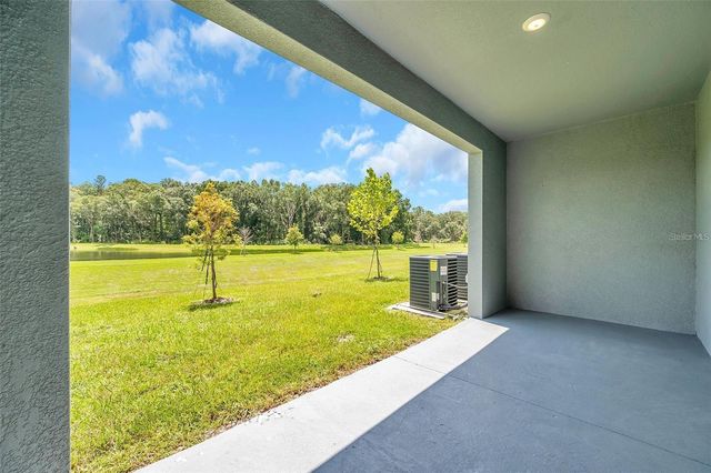 1347 COLT CREEK PLACE, Wesley Chapel, FL 33543