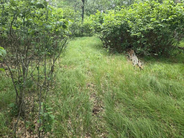856 Sterling Road, Nekoosa, WI 54457