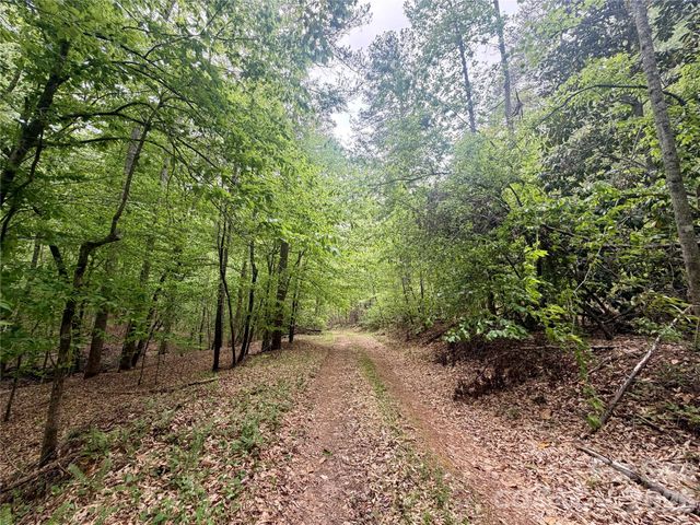 0 Polk County Line Road, Rutherfordton, NC 28139