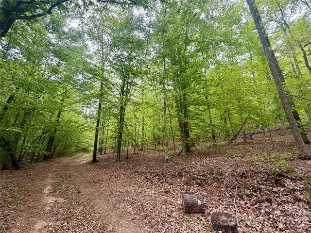 0 Polk County Line Road, Rutherfordton, NC 28139