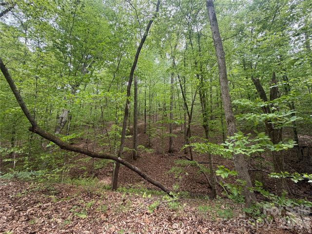 0 Polk County Line Road, Rutherfordton, NC 28139