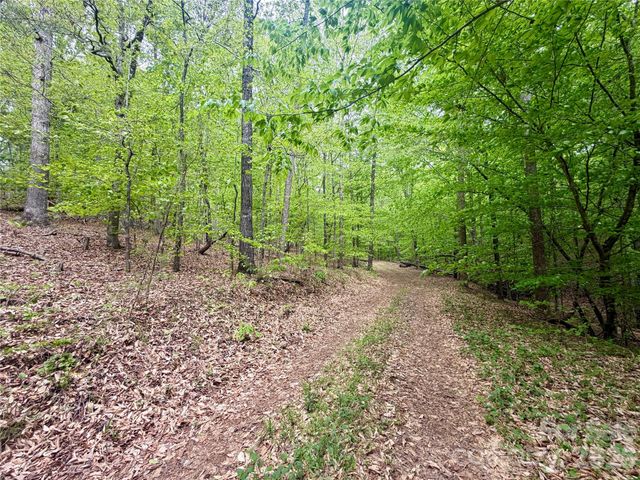 0 Polk County Line Road, Rutherfordton, NC 28139
