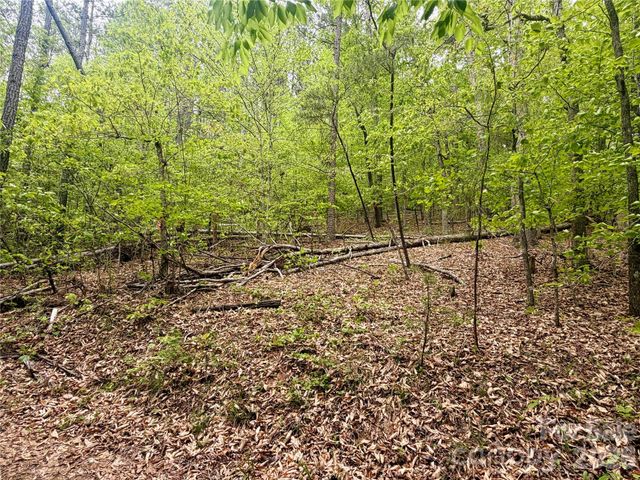 0 Polk County Line Road, Rutherfordton, NC 28139