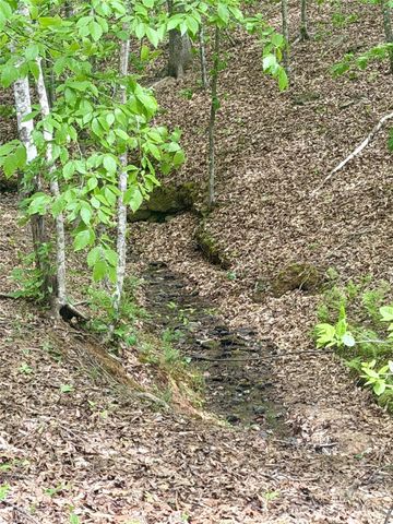 0 Polk County Line Road, Rutherfordton, NC 28139