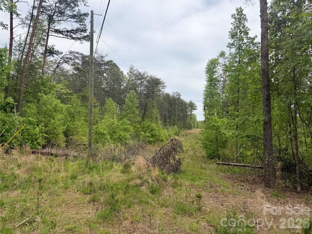 0 Polk County Line Road, Rutherfordton, NC 28139
