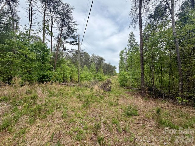 0 Polk County Line Road, Rutherfordton, NC 28139