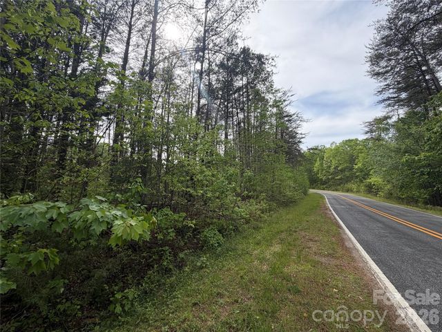 0 Polk County Line Road, Rutherfordton, NC 28139