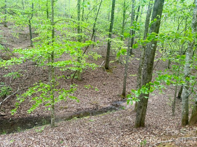 0 Polk County Line Road, Rutherfordton, NC 28139