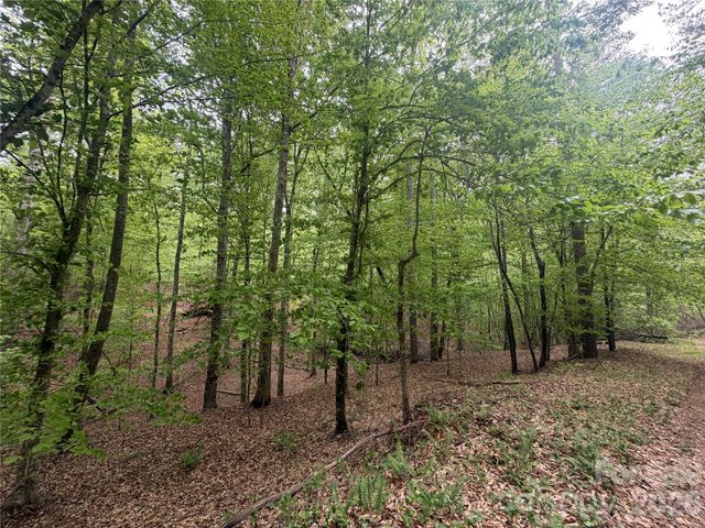 0 Polk County Line Road, Rutherfordton, NC 28139