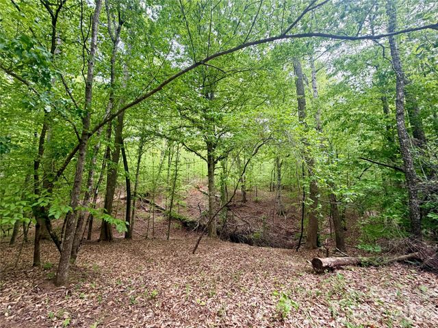 0 Polk County Line Road, Rutherfordton, NC 28139