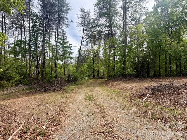 0 Polk County Line Road, Rutherfordton, NC 28139