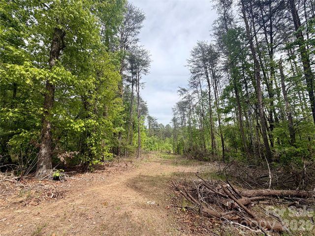0 Polk County Line Road, Rutherfordton, NC 28139