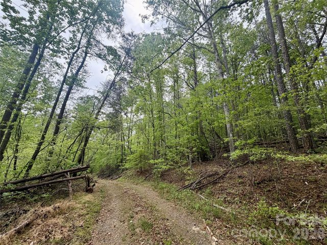 0 Polk County Line Road, Rutherfordton, NC 28139